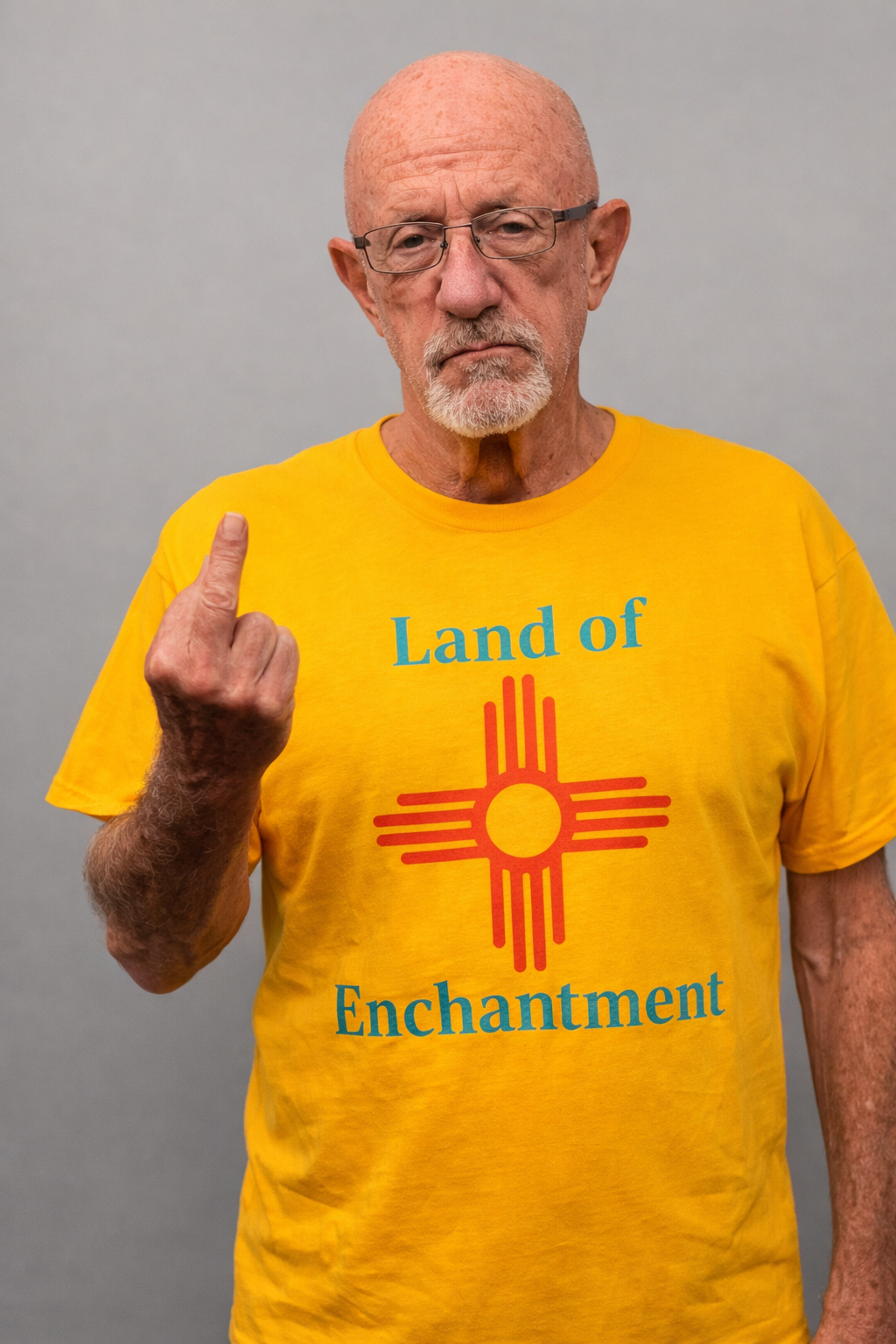 Land of Enchantment Unisex T-Shirt, Mike Ehrmantraut T-Shirt
